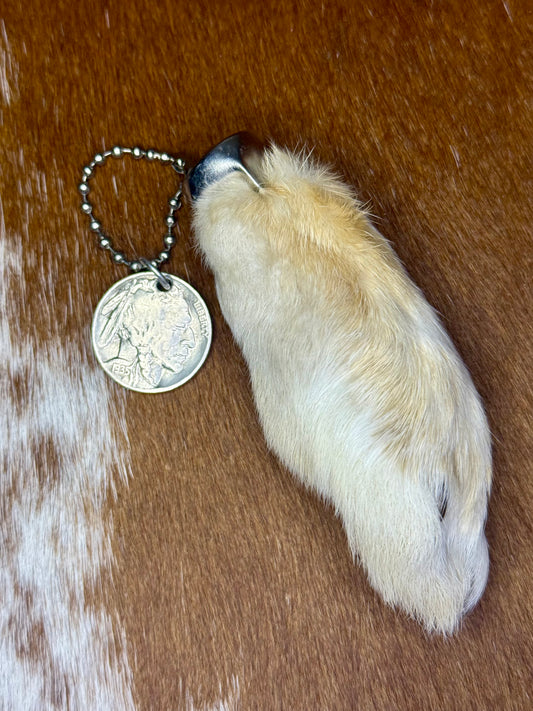 Buffalo nickel keychain￼